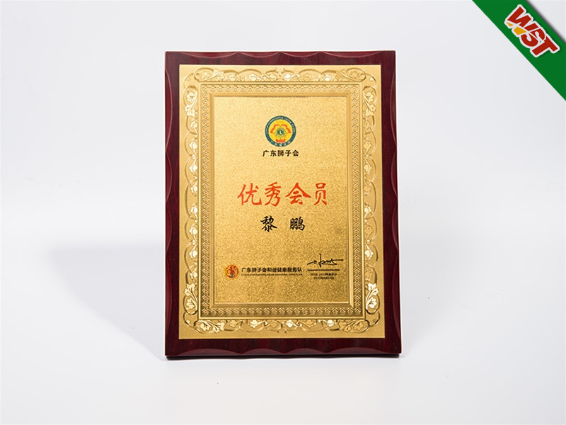 優(yōu)秀會(huì)員證書(shū)